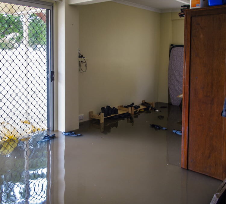 Rapid Response to Flood Damage: All Dry Services’ Dedication to North Austin Residents