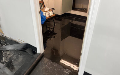 All Dry Services: Your Water Damage Restoration Experts in North Austin